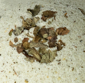 Grounding Ritual Bath Bomb | Milk + Evergreen Luxury Bathing Experience